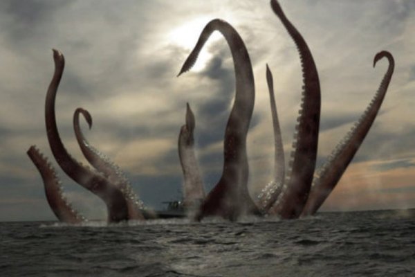 Kraken как зайти