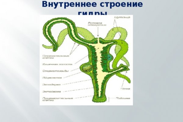 Кракен сайт официальный onion